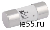 Плавкая вставка цилиндрическая ПВЦ 22х58 gG 25А IEK