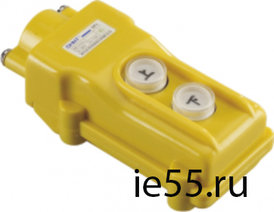 Пульт кнопочный NP3-1 на 2 кнопки IP65 (CHINT)