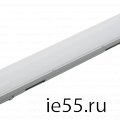 Светильники ДСП 1304-1307, 1318, 1319