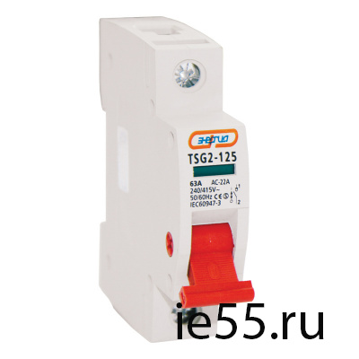 Выключатель нагрузки TSG2-125  1P 63A  ЭНЕРГИЯ